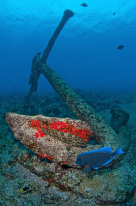 Anchor, Grouper & Blue Tang on the China wreck, Ascension... by Paul Colley 